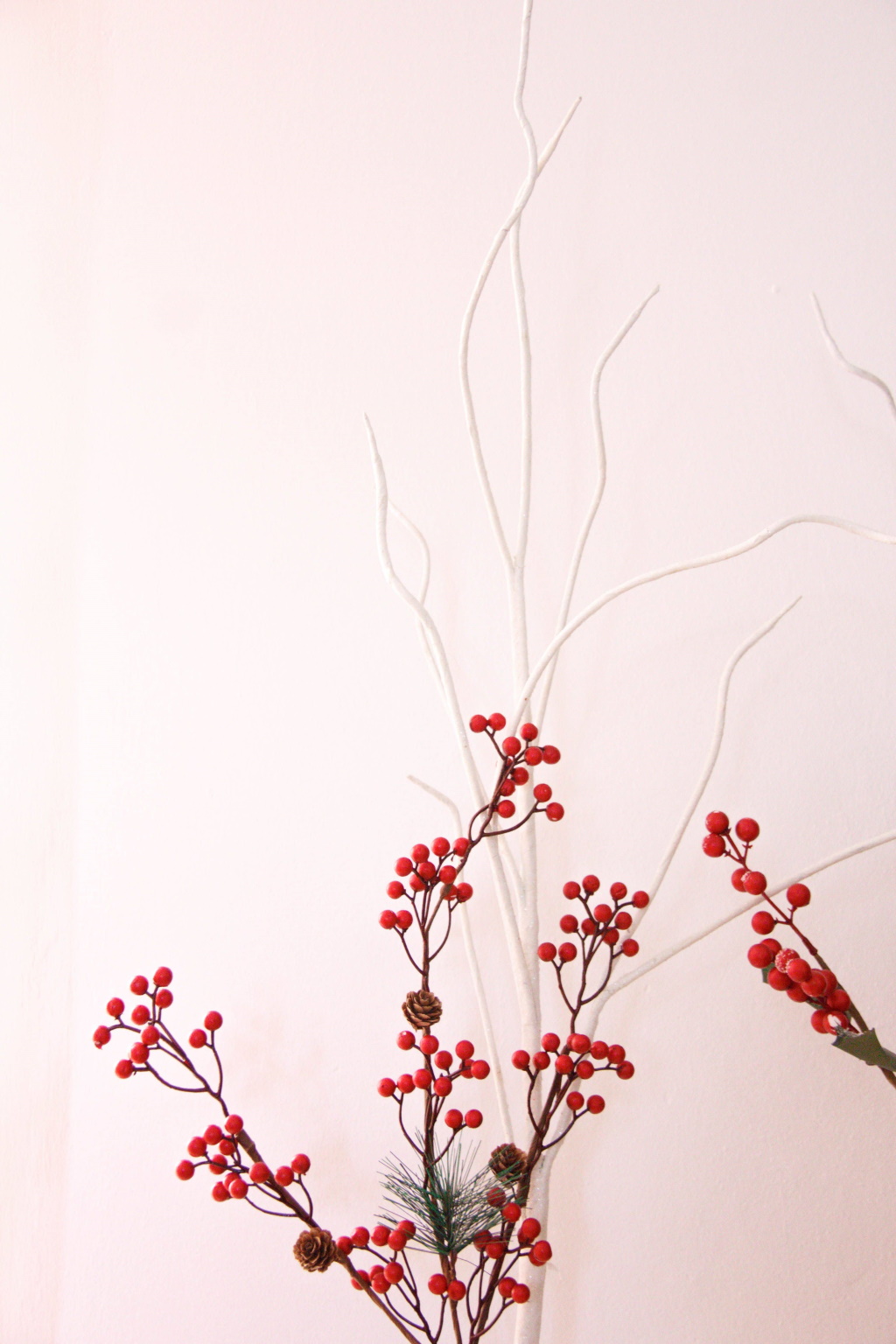 arbre japonais rouge